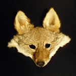 @valley_fur_shed Profile Image | Linktree